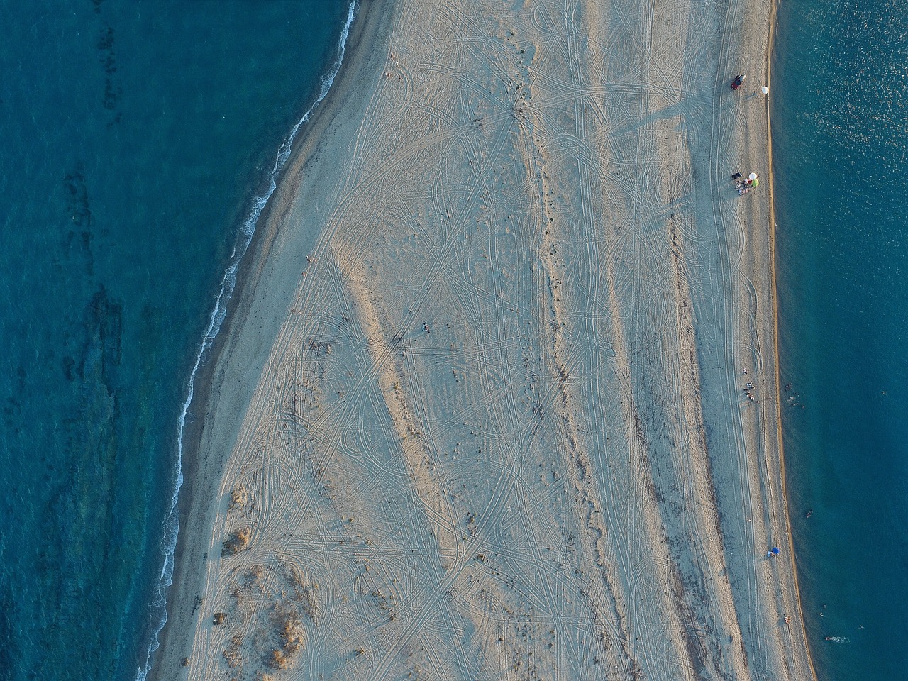 beach nature ocean free photo