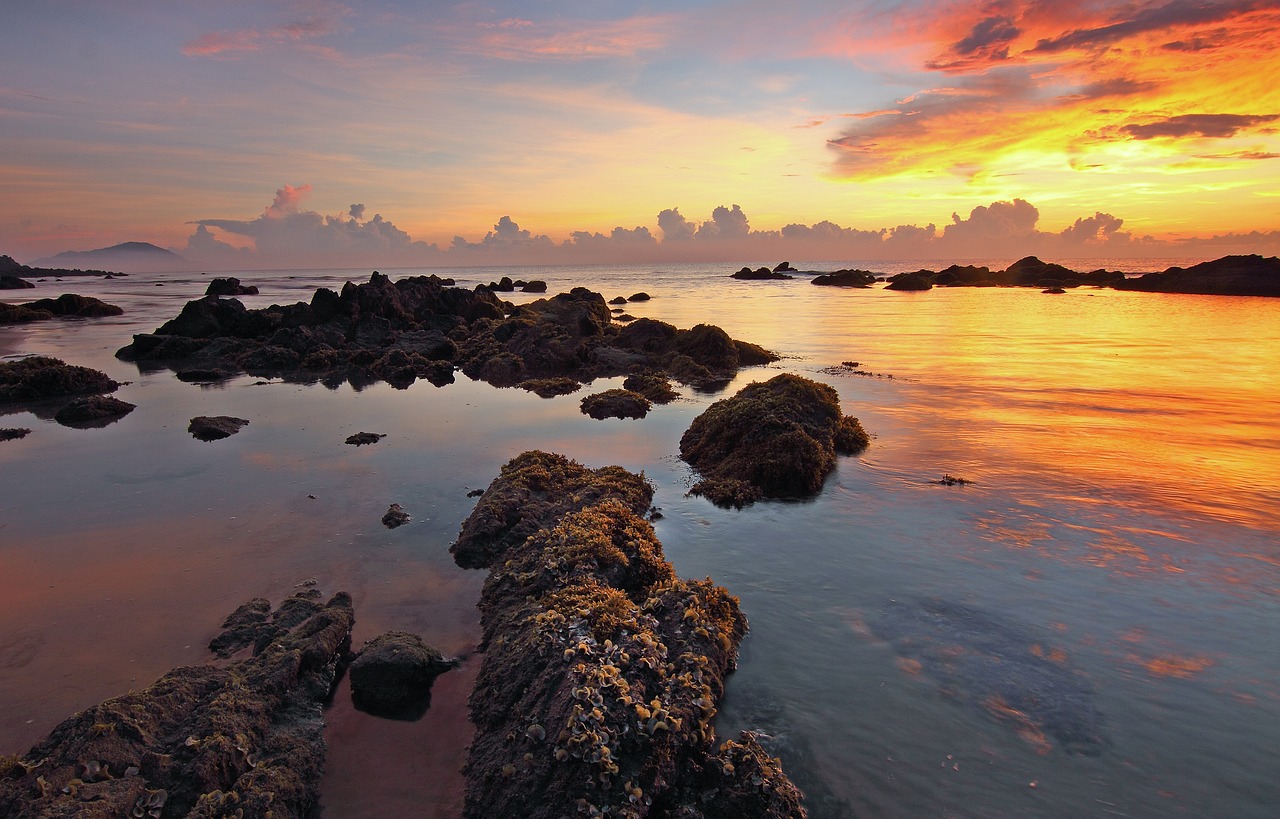beach dawn dusk free photo