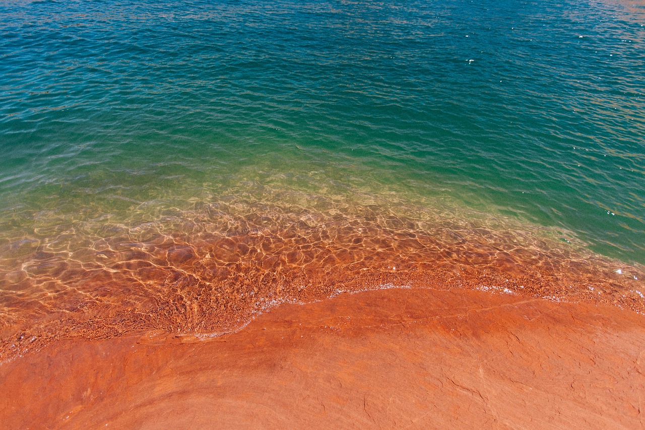 beach ocean sand free photo