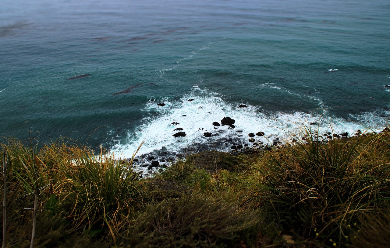 beach coast nature free photo