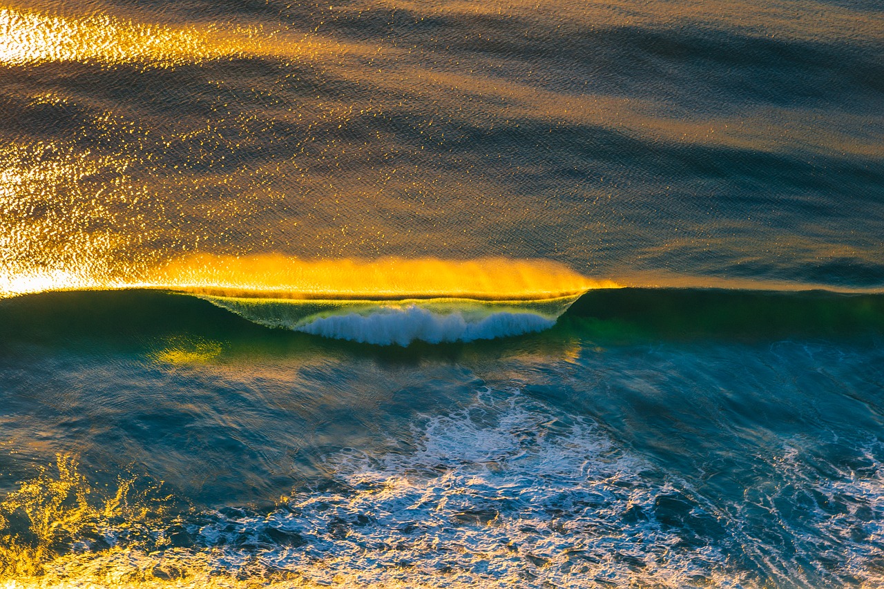 beach nature ocean free photo