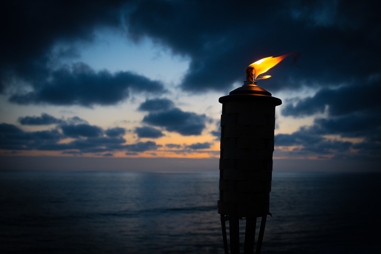 beach dark dusk free photo