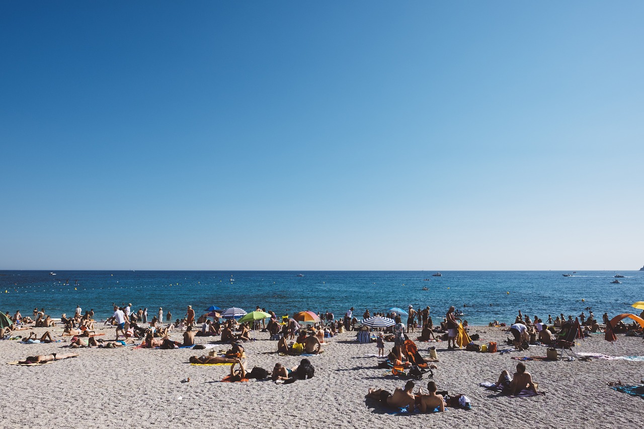 beach daylight leisure free photo