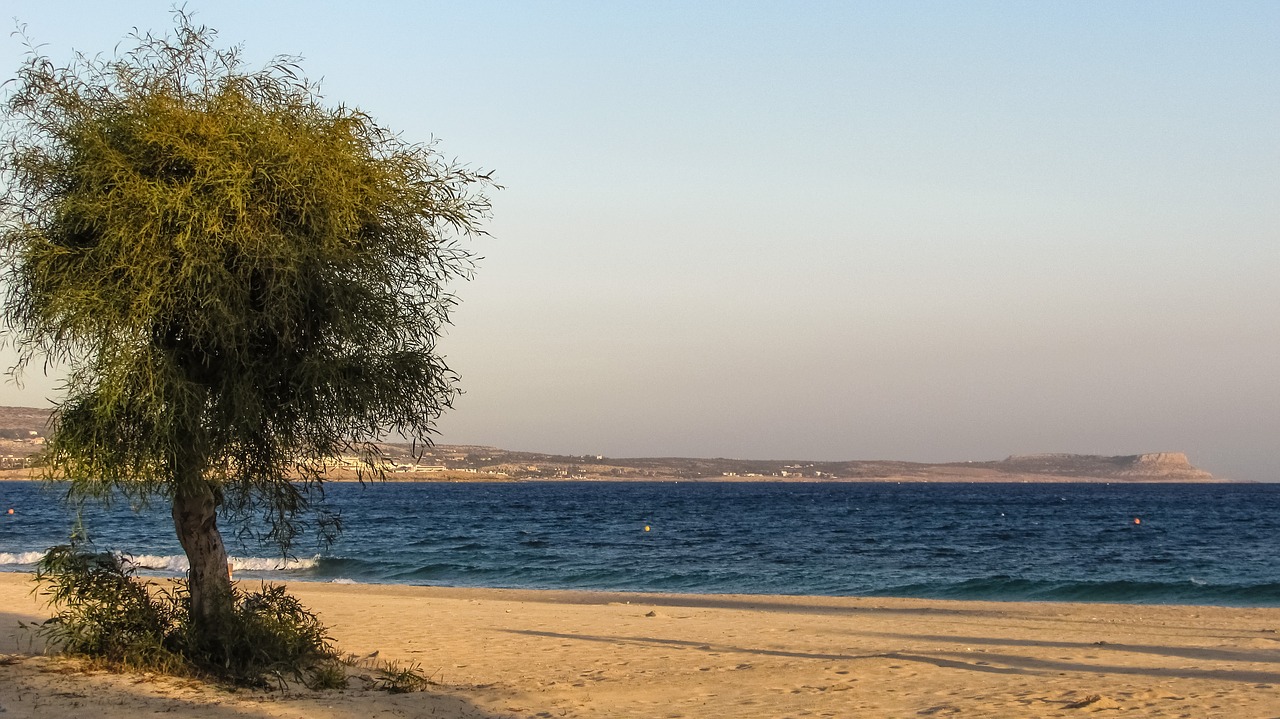 beach empty autumn free photo