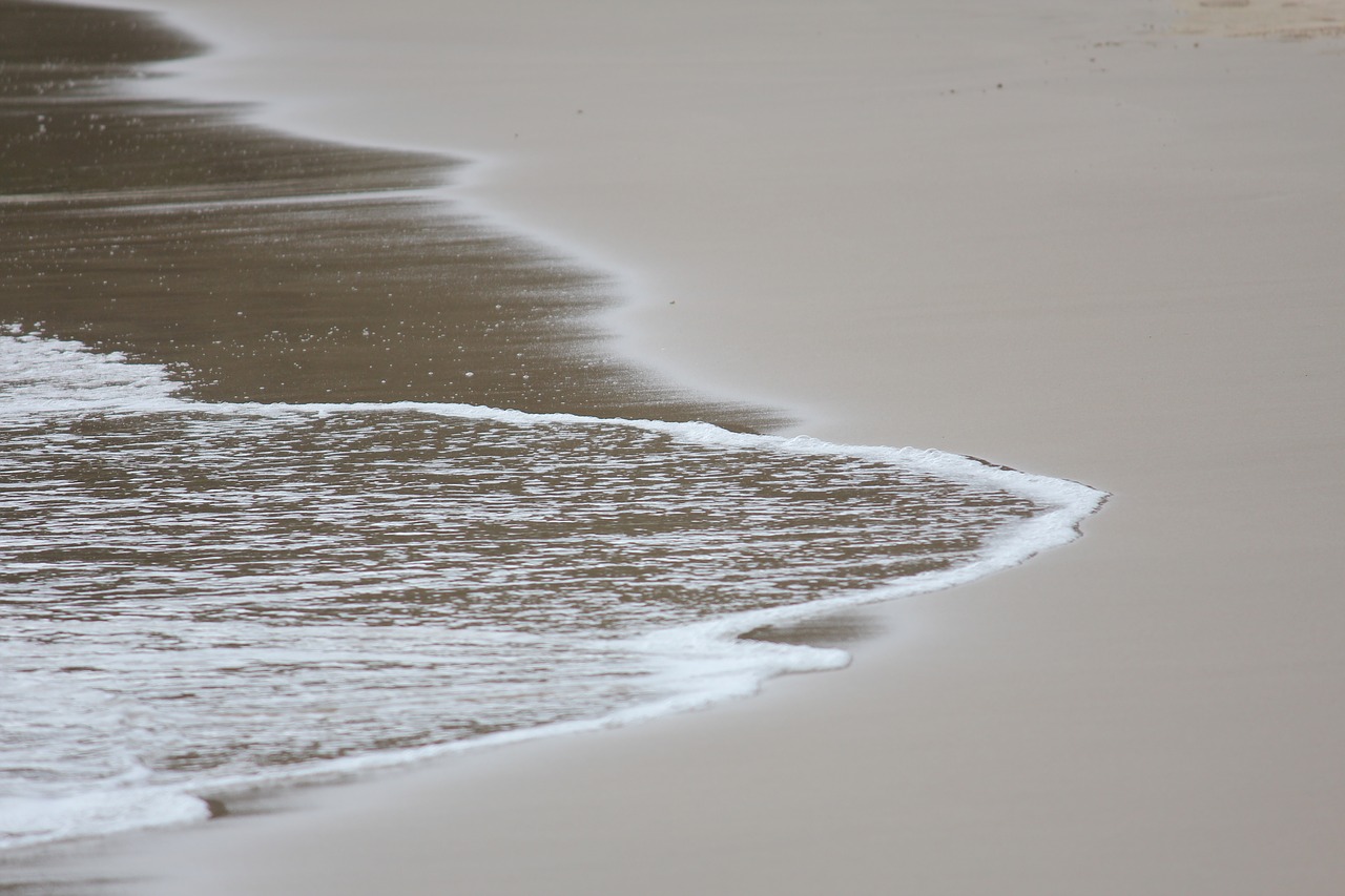 beach water sand free photo