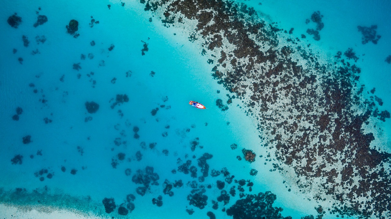 beach boat high angle shot free photo