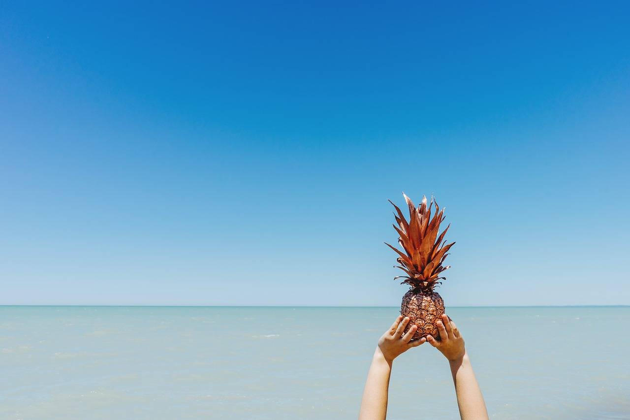 beach blue sky enjoyment free photo