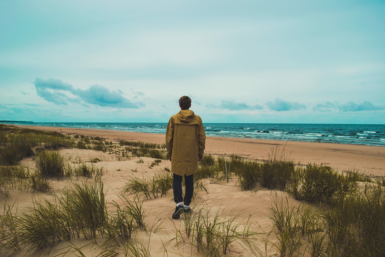 beach grass ocean free photo