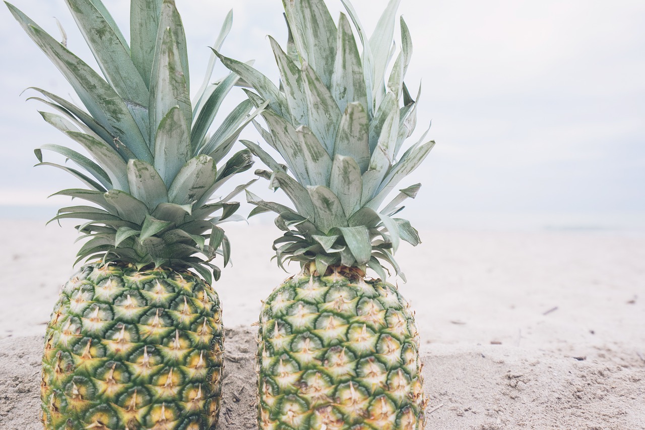 beach fruit pineapple free photo