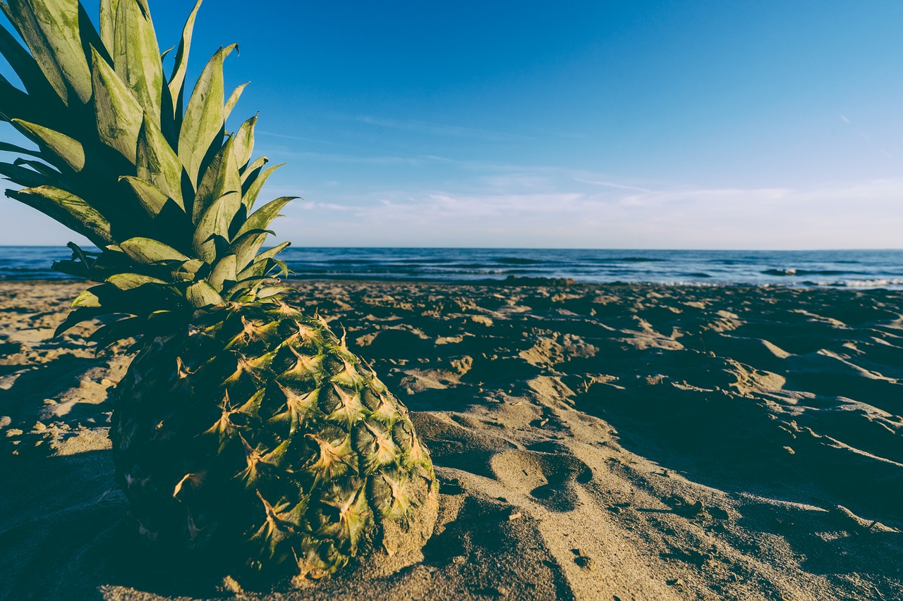 beach blue sky fruit free photo