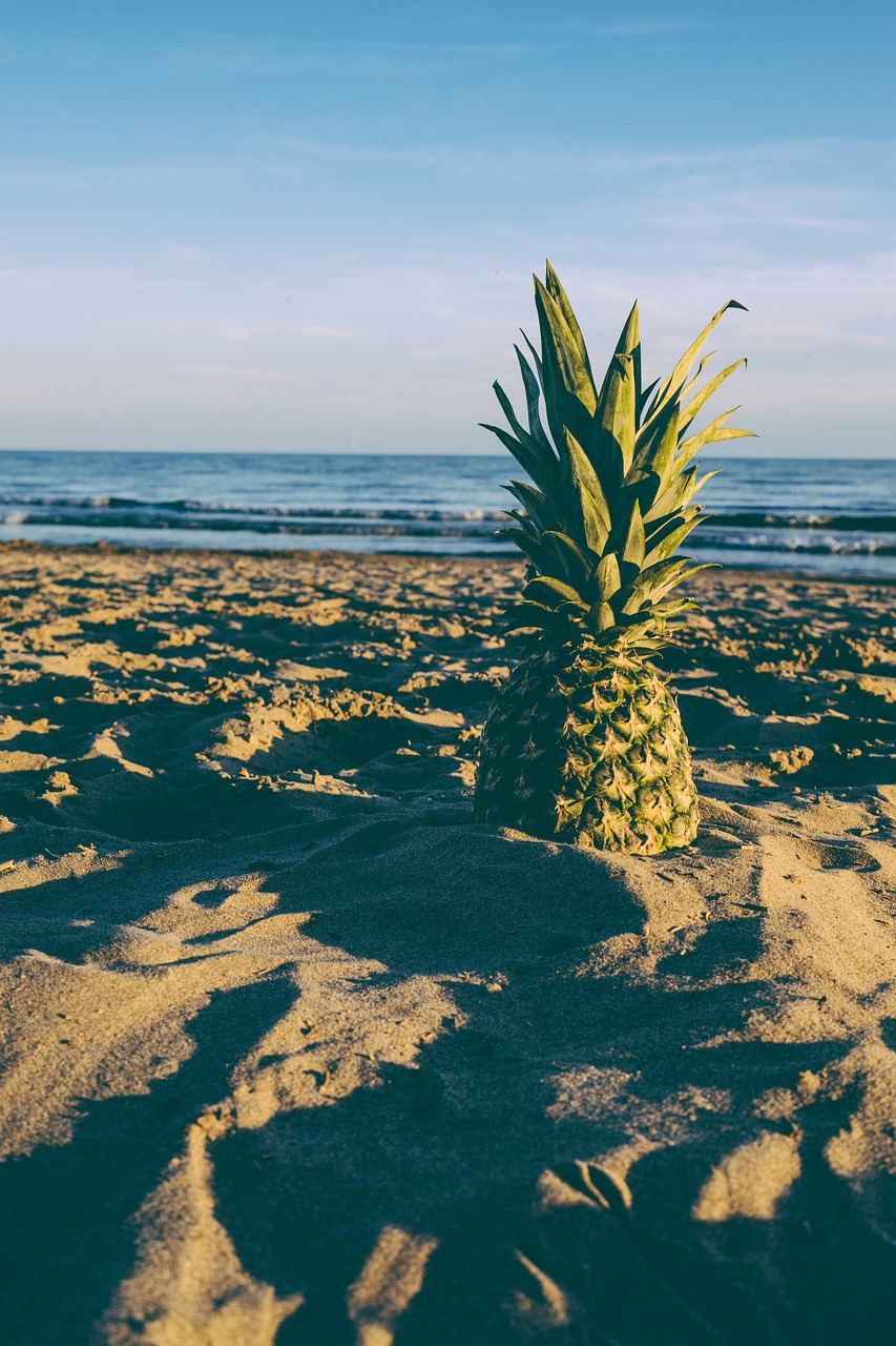 beach blue sky dusk free photo