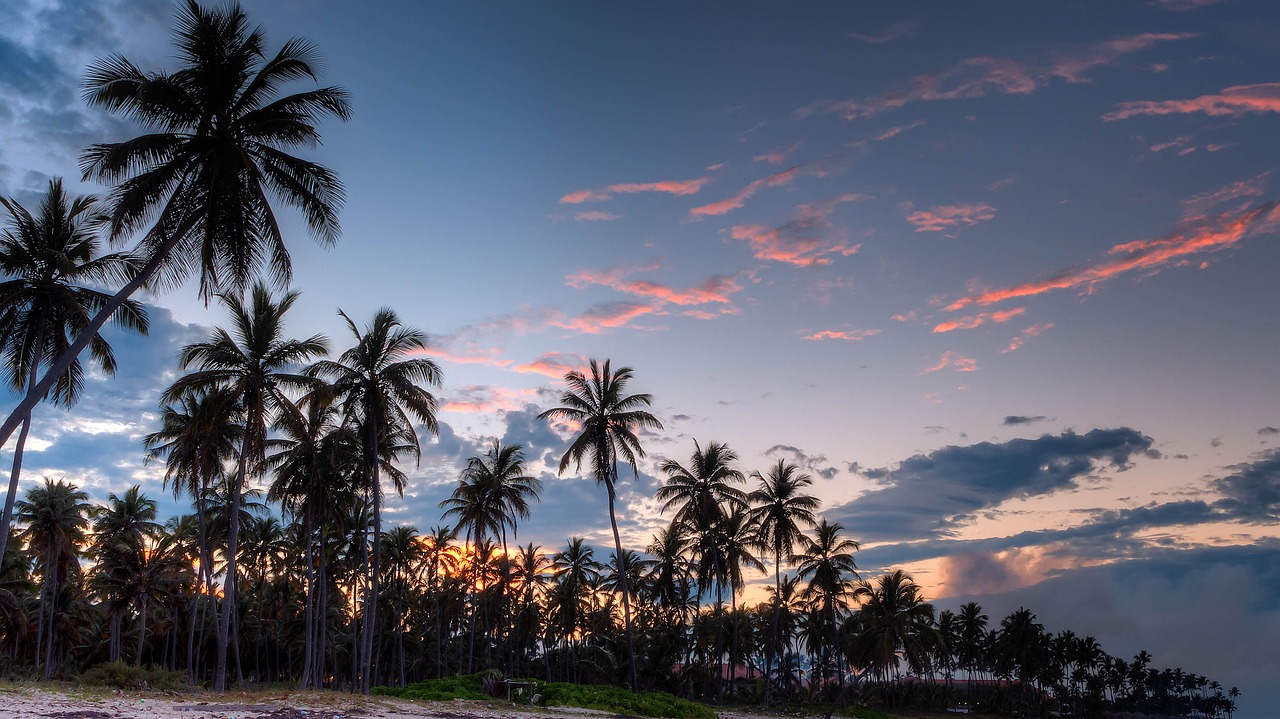 beach idyllic island free photo