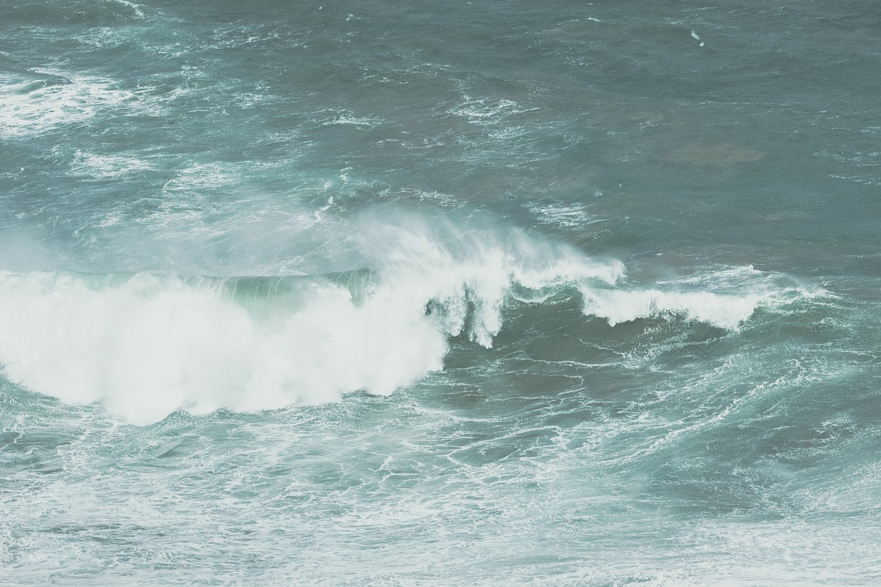 beach nature ocean free photo