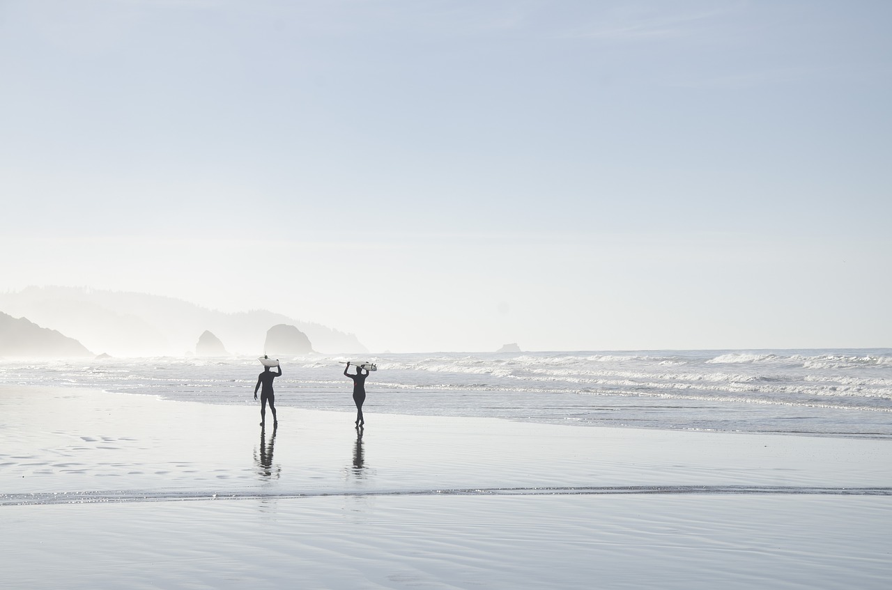 beach coast foggy free photo