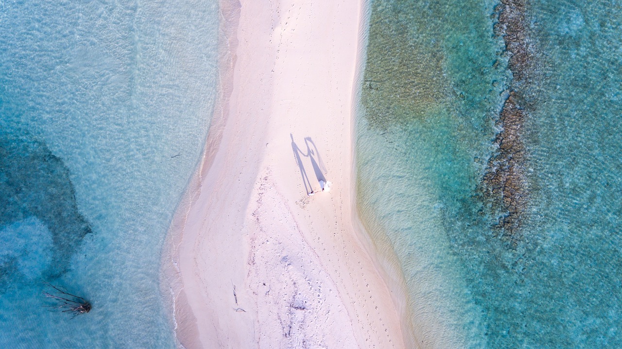 beach ocean outdoors free photo