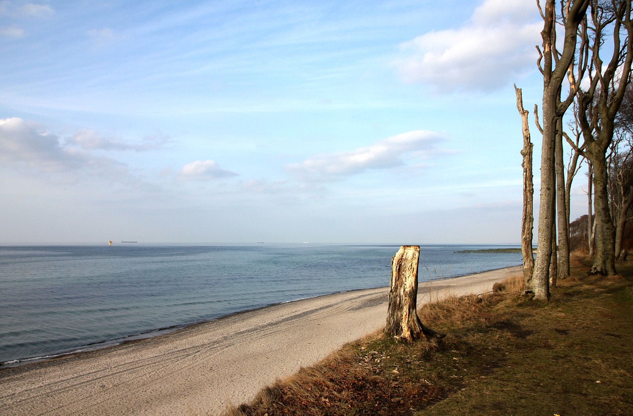 beach sea ocean free photo