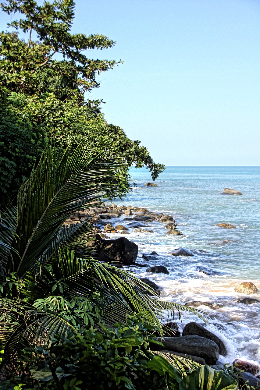 beach thailand sea free photo