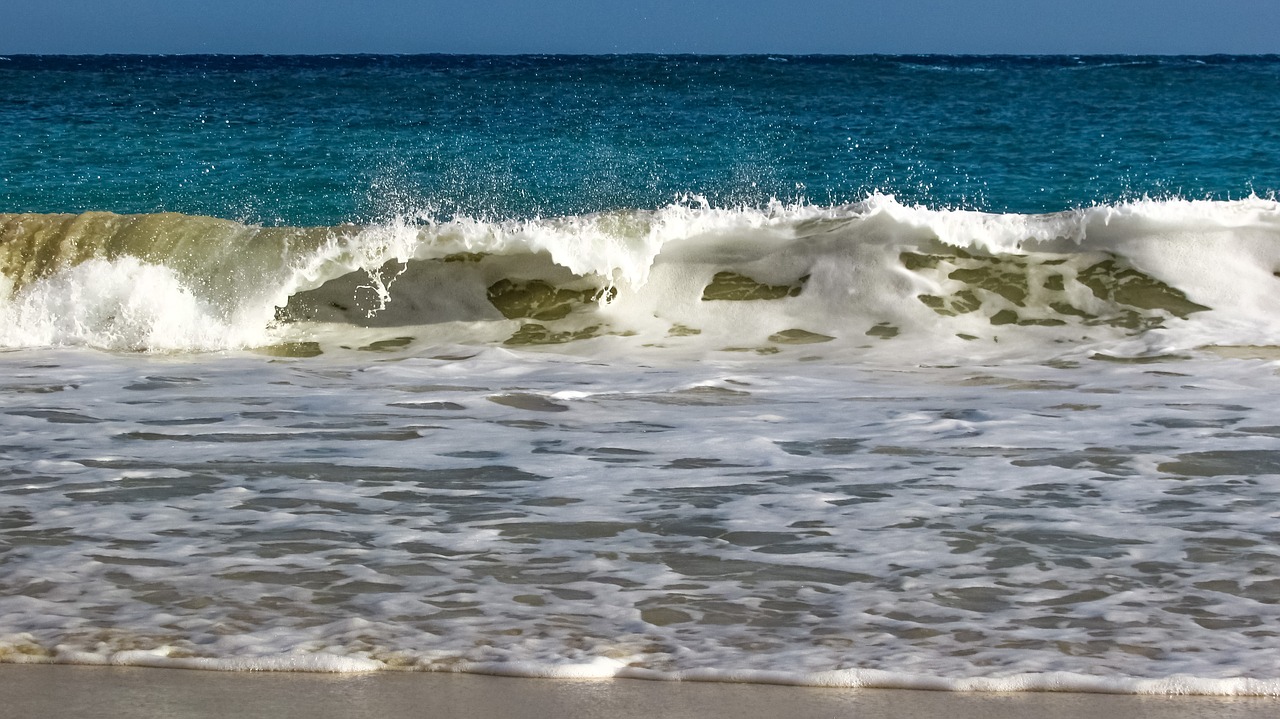 beach sand wave free photo