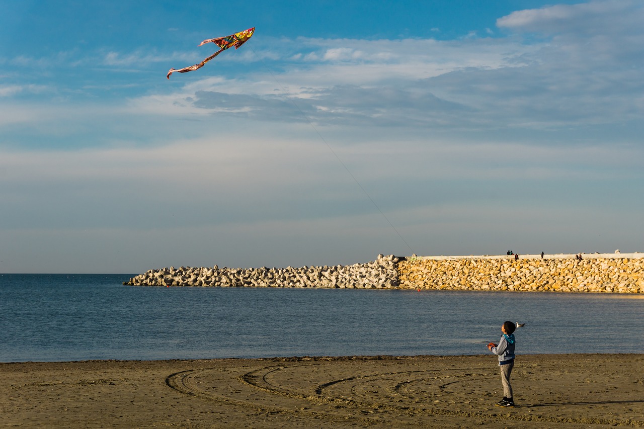 beach kite child free photo