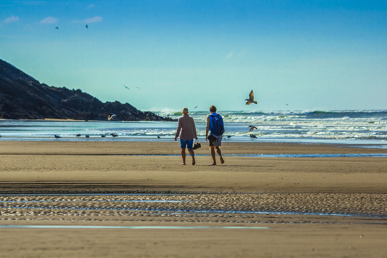 beach ocean gulls free photo