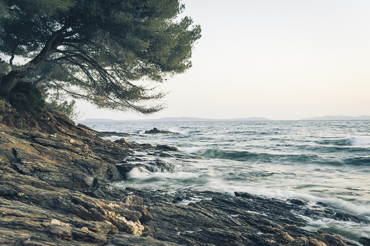 beach wave sea free photo