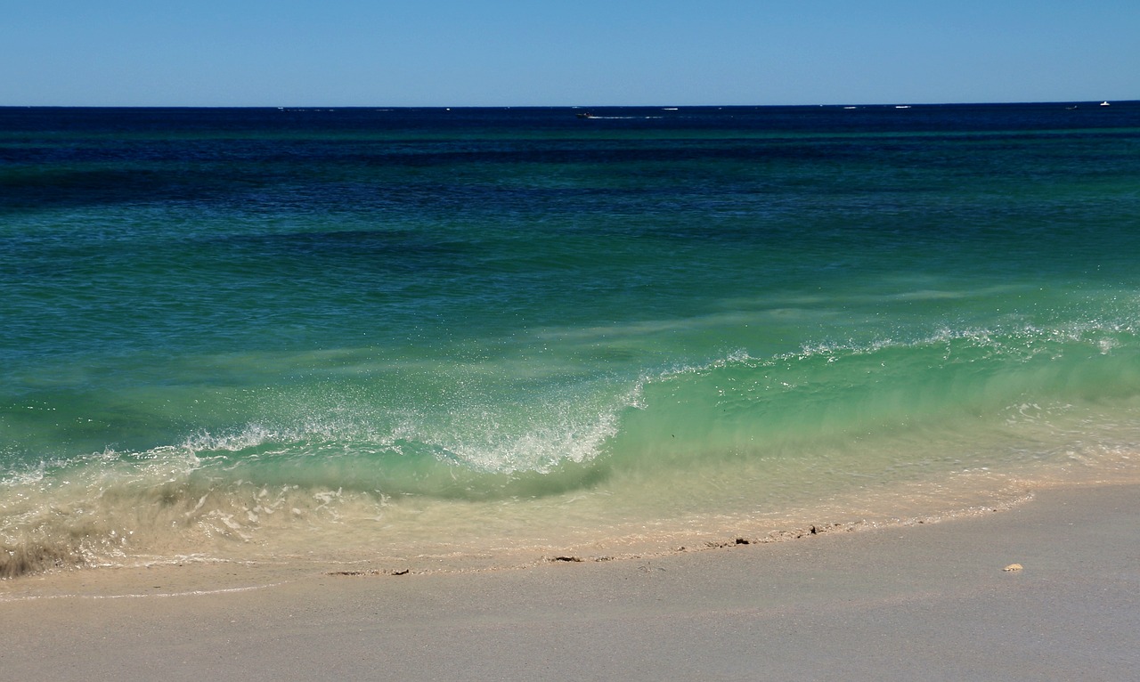 beach water ocean free photo