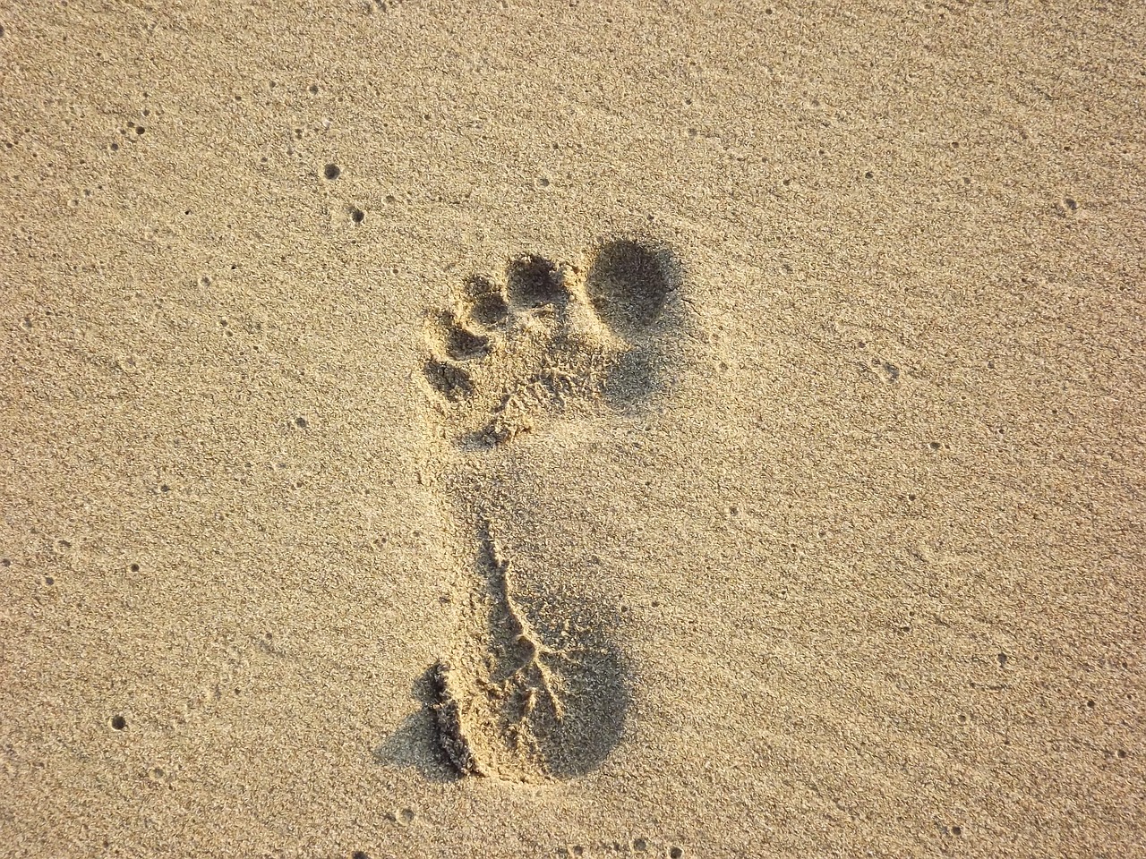 beach foot print sand print free photo