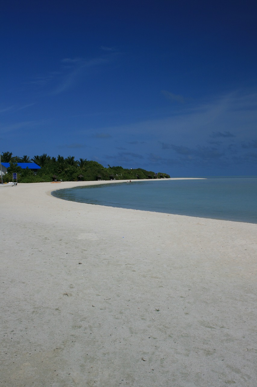 beach sea maldives free photo