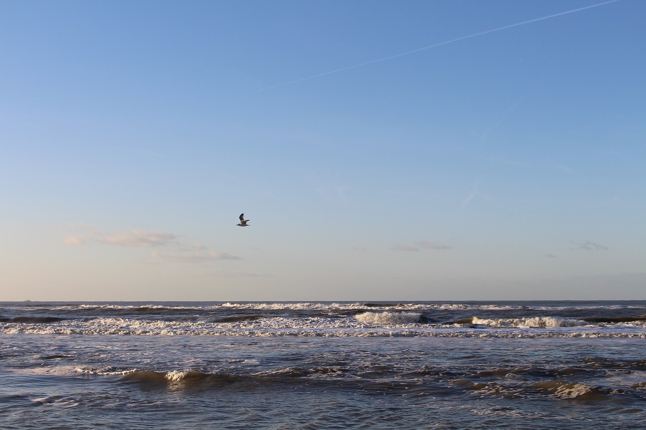 beach sea sand free photo