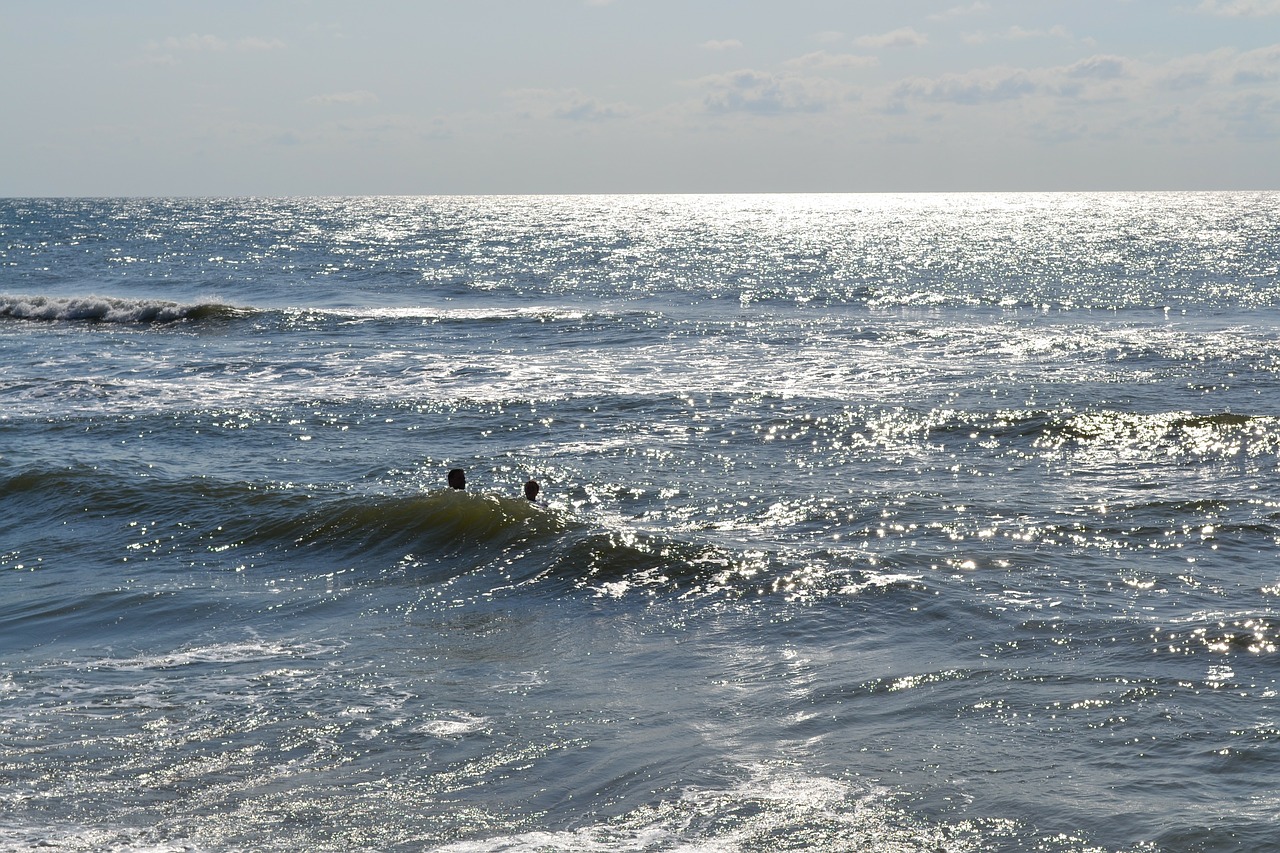 beach ocean water free photo