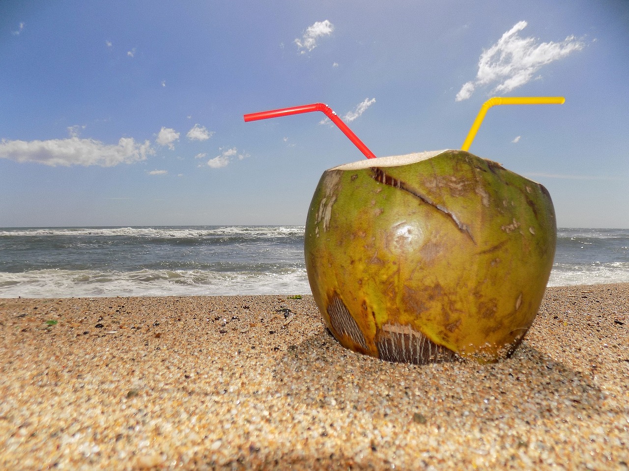 beach rest coconut water free photo