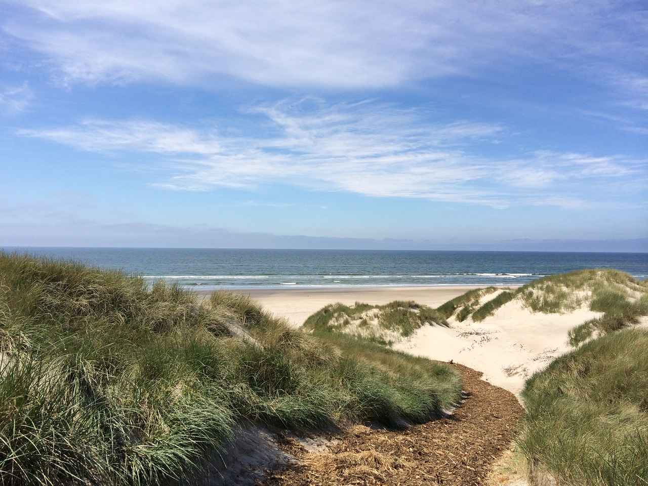 beach ocean water free photo