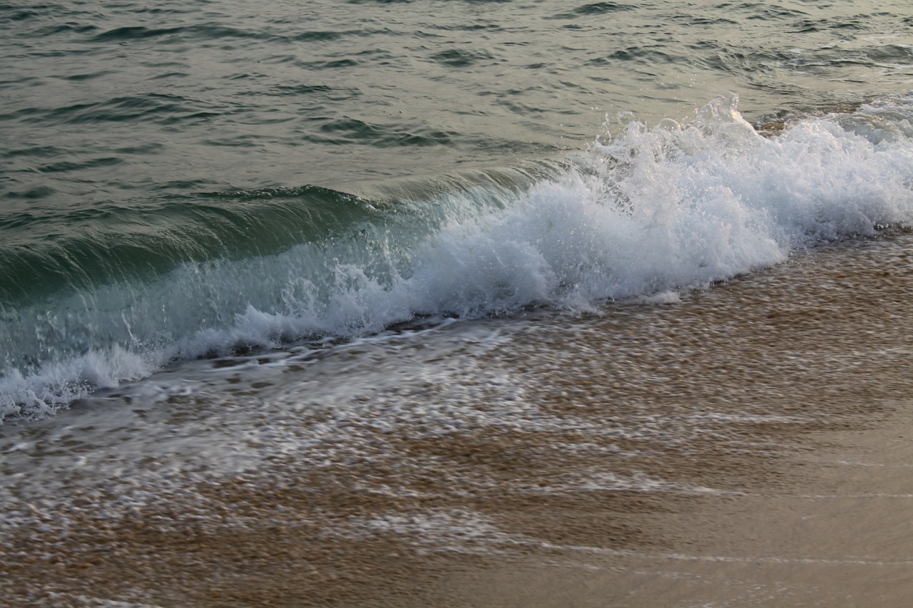 beach wave ocean free photo