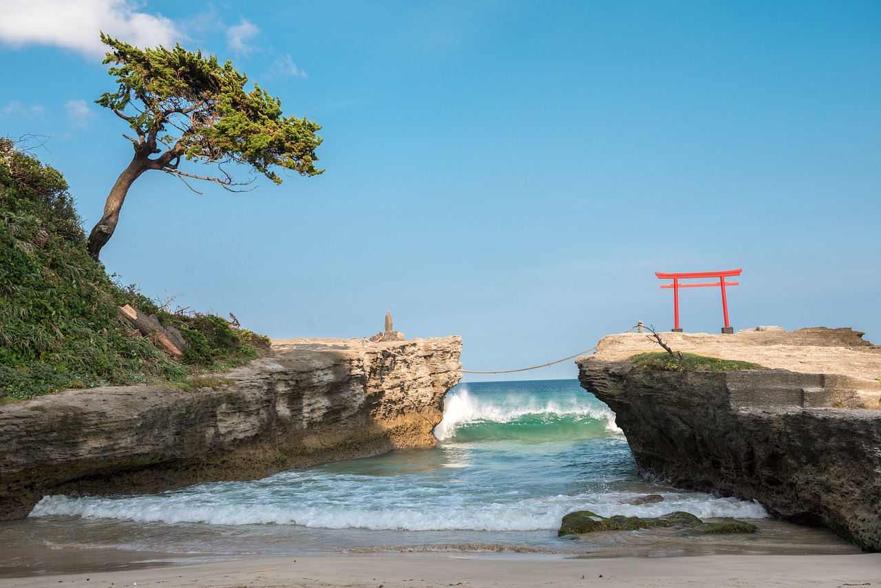 beach torii izu free photo