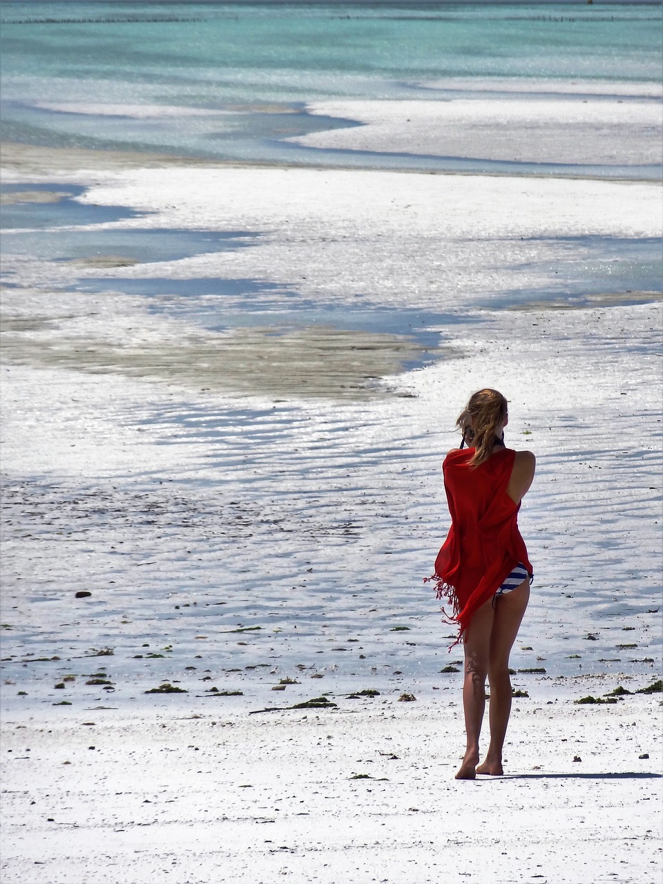 beach woman sea free photo