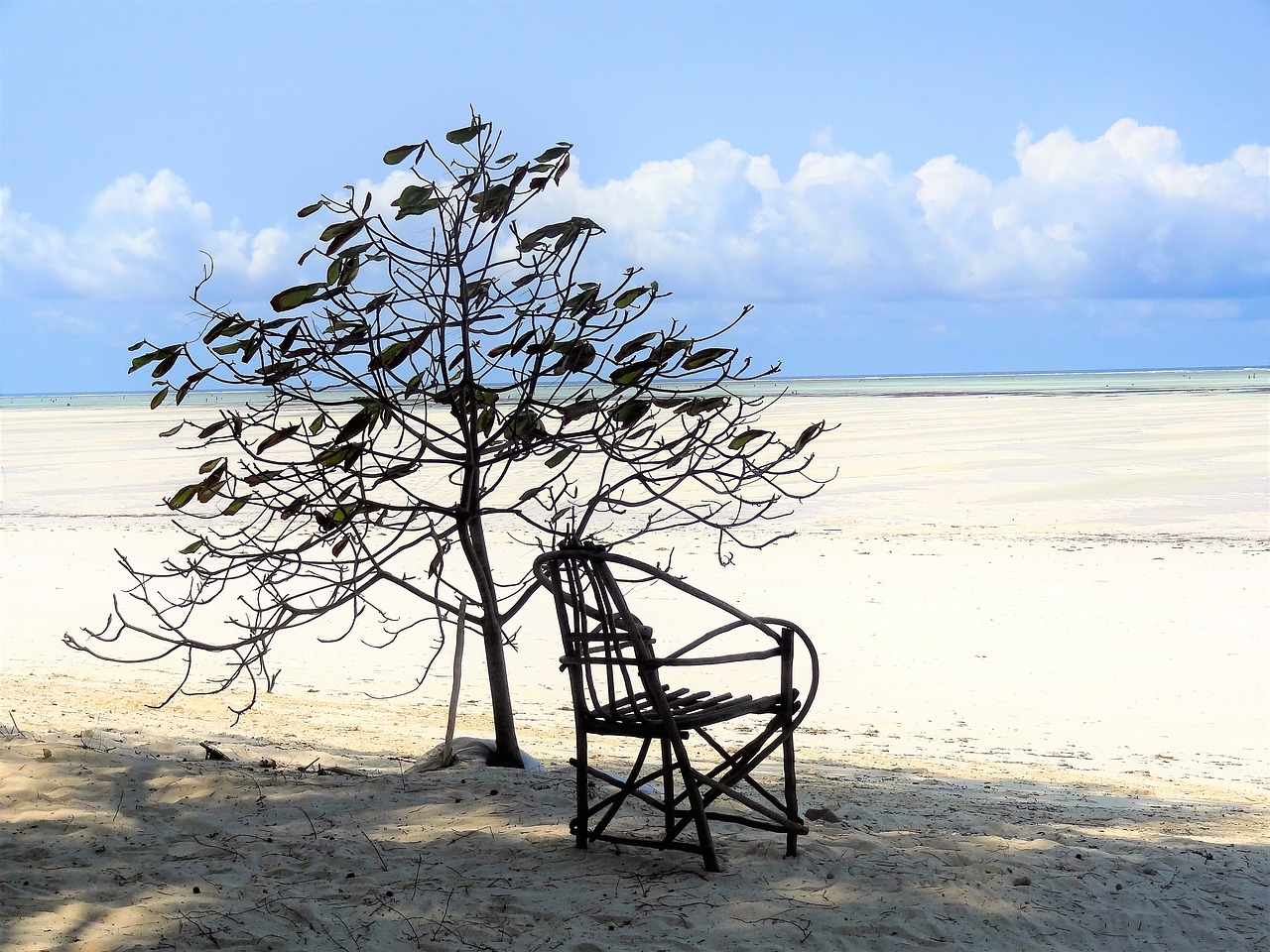 beach sea chair free photo