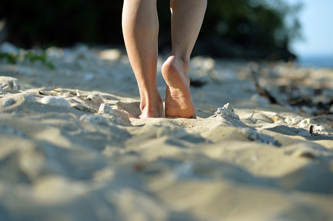 beach sea nature free photo