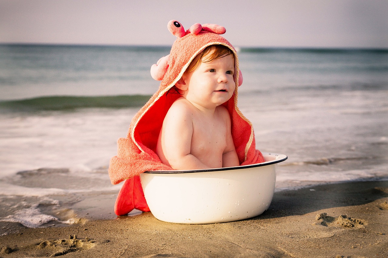 beach baby crab free photo