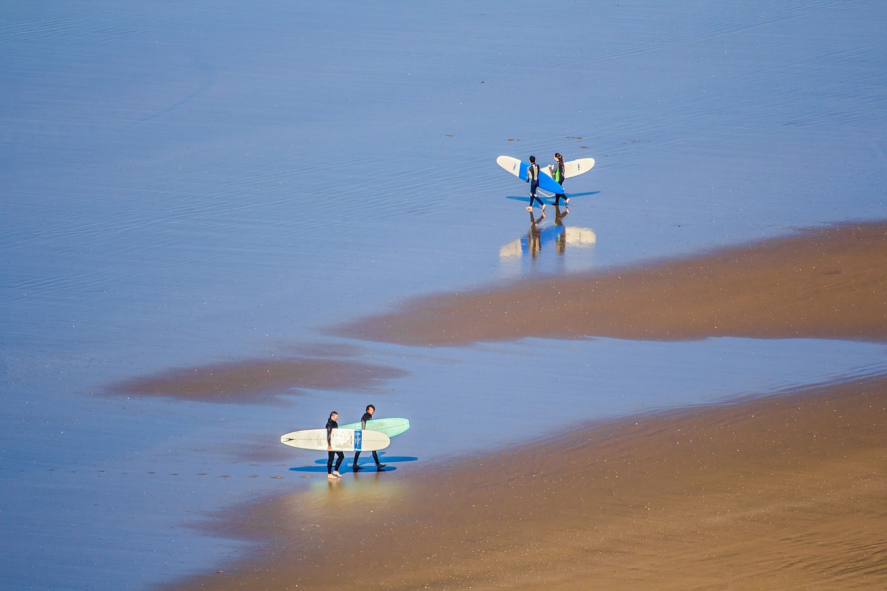 beach ocean surfing free photo