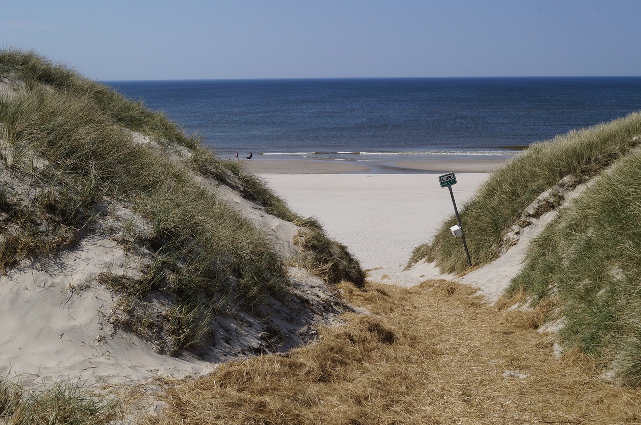 beach dune sea free photo