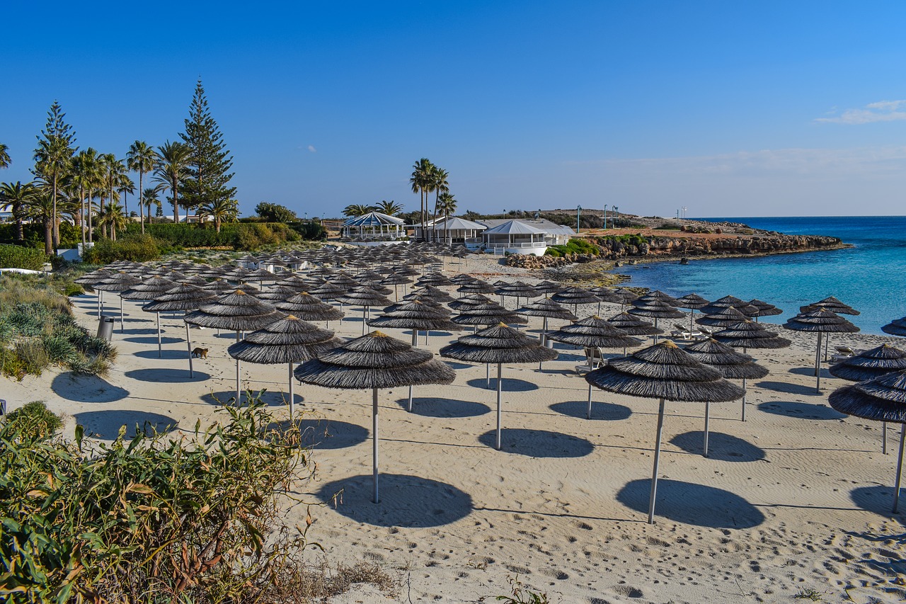 beach umbrellas sand free photo