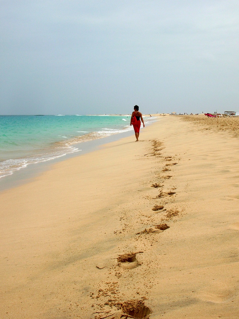 beach sea sky free photo