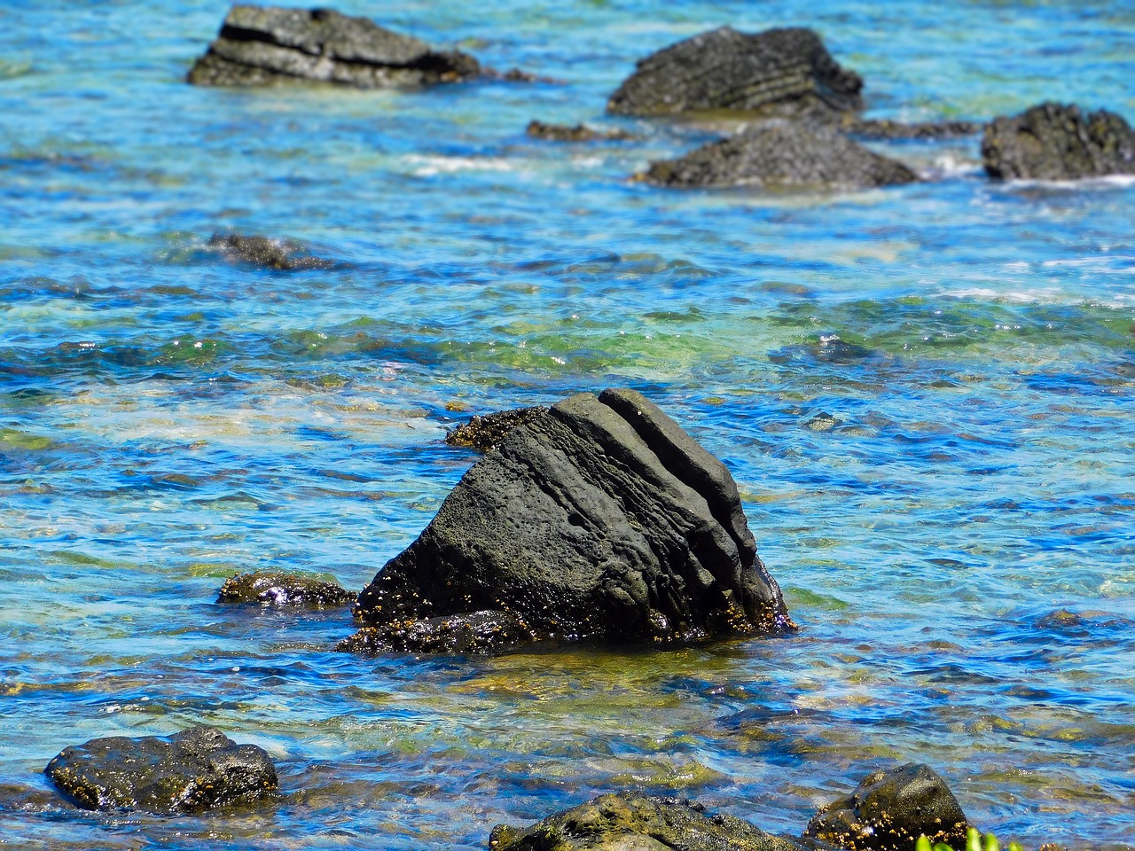 beach rock in sea rock free photo