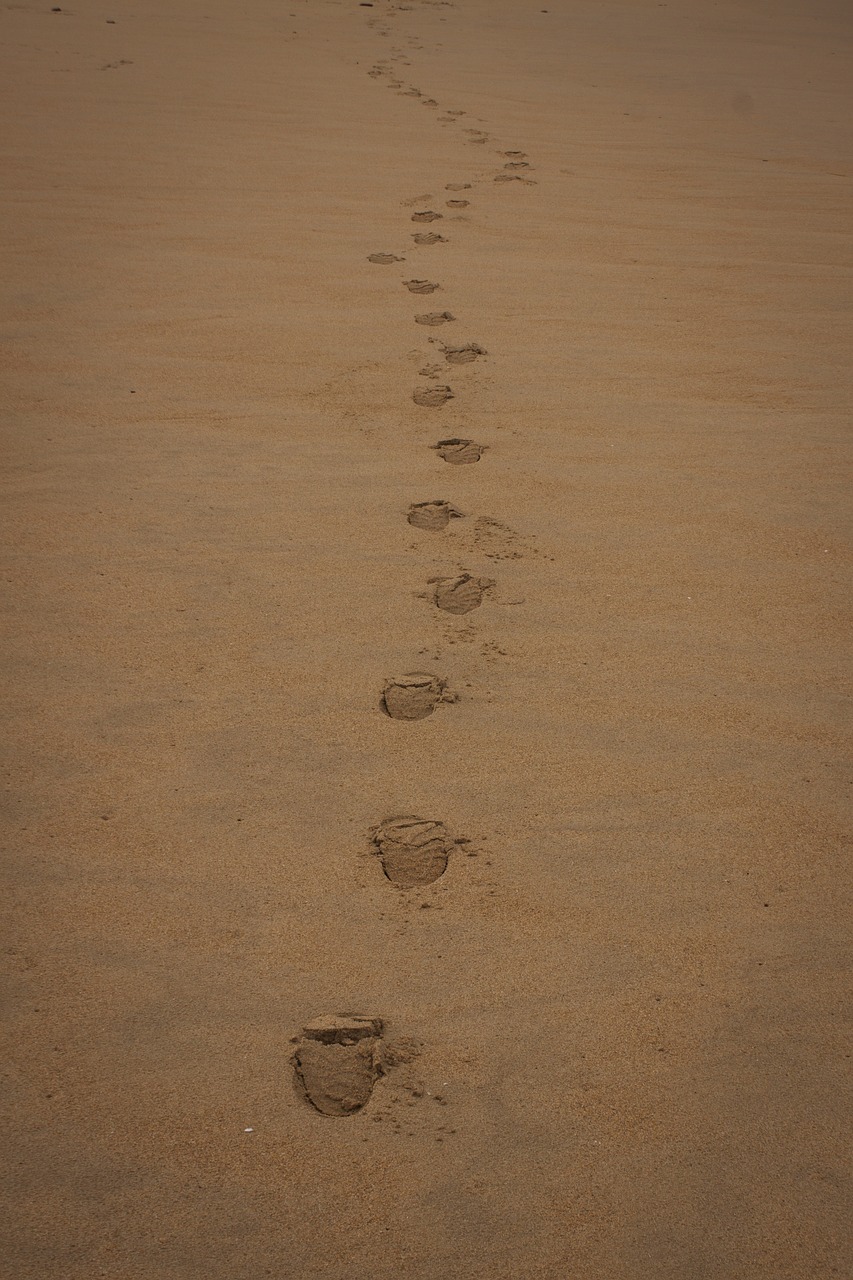 beach sand footprint free photo