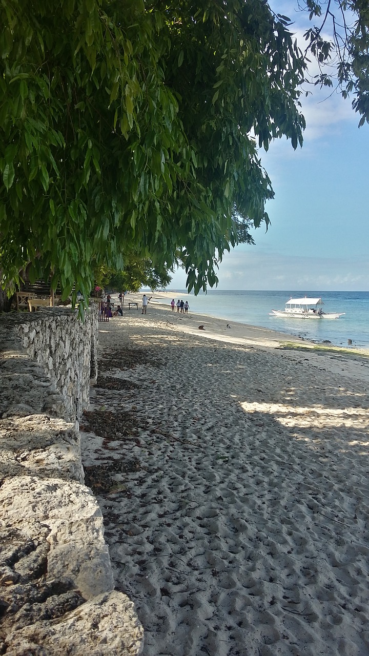 beach sun sand free photo