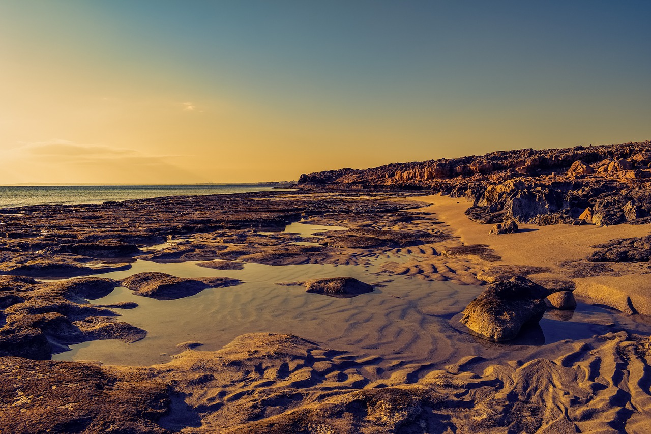 beach coast sea free photo