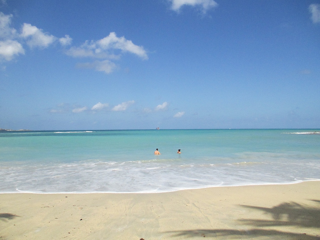 beach wave turquoise free photo