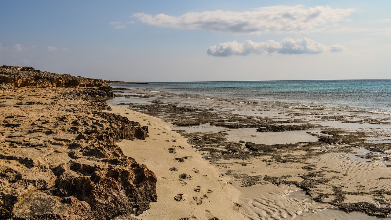 beach sea footprints free photo