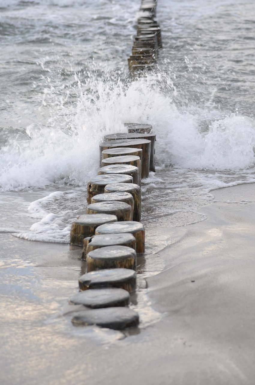 beach water wave free photo