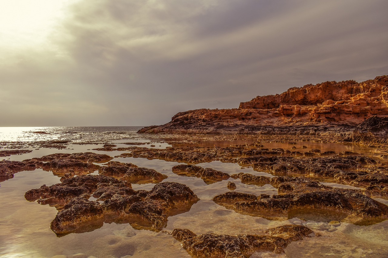 beach coast sea free photo